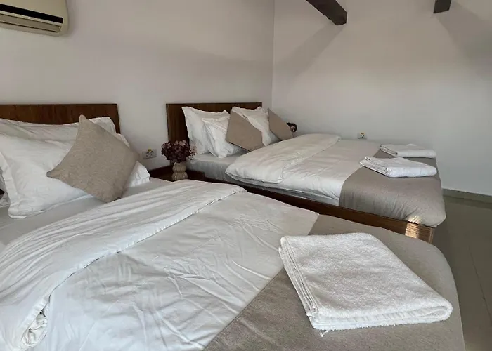 Hostel Top Central Bucharest Auberge de jeunesse Bucarest